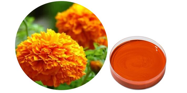 Marigold Essential Oil