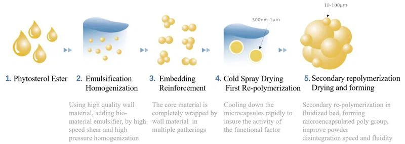 Phytosterol Ester Powder