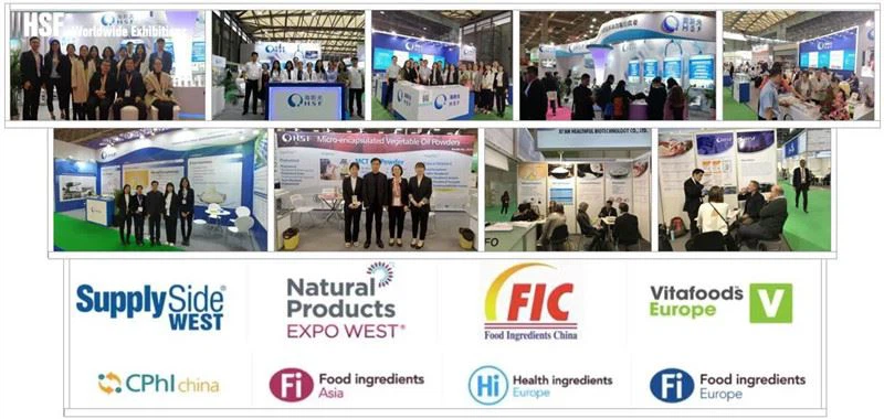 product-800-380 Worldwide Exhibitions