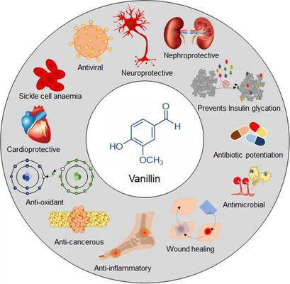 info-685-670 info-685-670