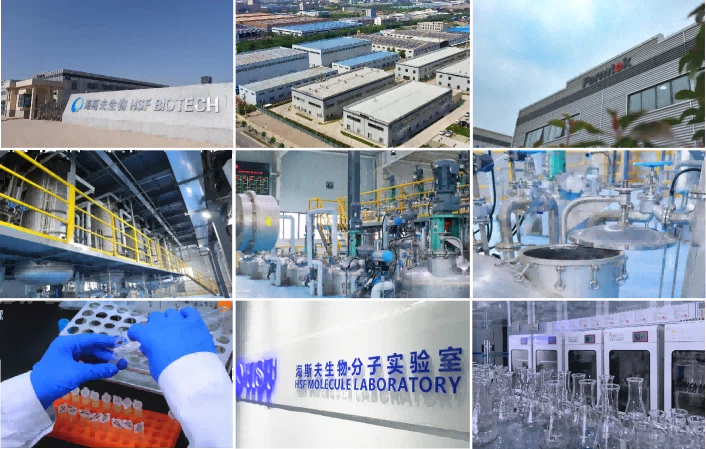 info-706-449 info-706-449