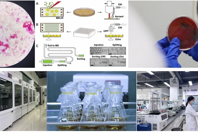 news-819-546 news-819-546