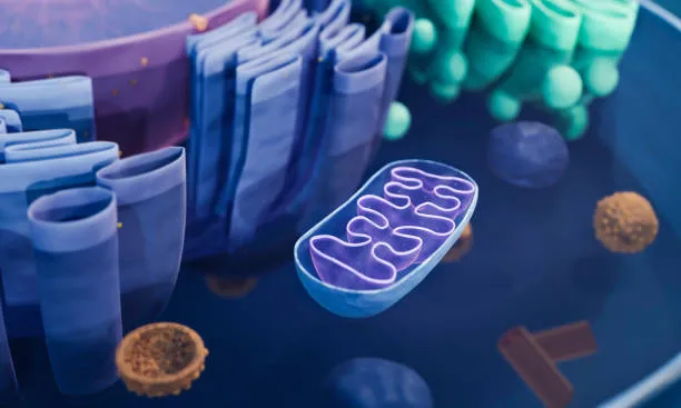 product-612-367 product-612-367